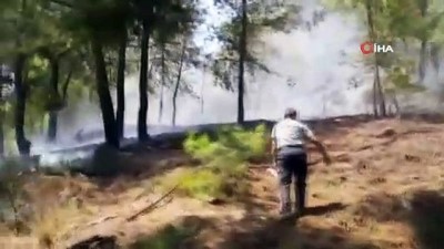 orman yangini -  Kumluca'da orman yangını  Videosu