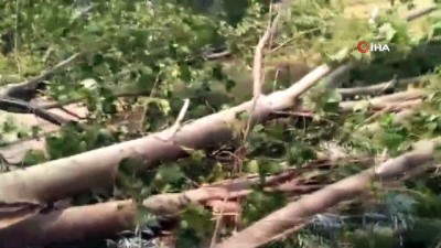uzunlu -  Kütahya'da 15 dakikalık yağış ve fırtına 5 kavak ağacını devirdi Videosu