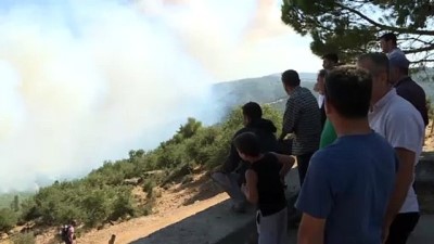 orman yangini - Karabağlar'da orman yangını (2) - İZMİR Videosu