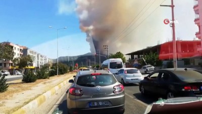 orman yangini -  Milas’taki orman yangını tarım arazilerine sıçradı  Videosu