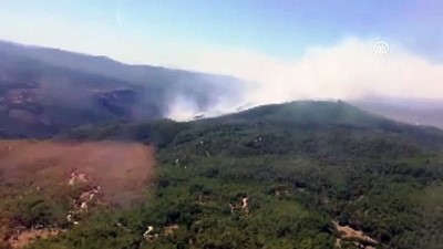 Muğla'da orman yangını (2) 