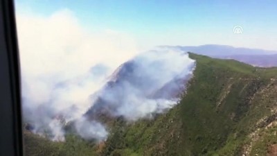 orman yangini - Muğla'da orman yangını (3)  Videosu