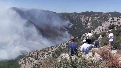 orman yangini - Muğla'da orman yangını (4)  Videosu