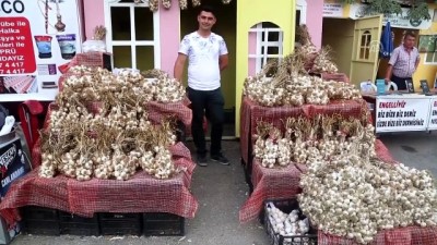 isaf - Sarımsak üreticisi festivalden memnun - KASTAMONU  Videosu