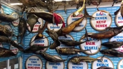 orkinos -  Türkiye Deniz Canlıları Müzesi ziyaretçi rekoru kırdı  Videosu