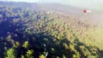 siddetli ruzgar -  Bodrum’da yangın kontrol altında, Milas’ta çalışmalar devam ediyor  Videosu