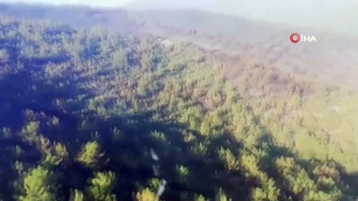 siddetli ruzgar -  Bodrum’da yangın kontrol altında, Milas’ta çalışmalar devam ediyor  Videosu