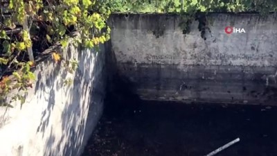 kurtarma operasyonu -  Bursa'da ayı ailesine kurtarma operasyonu  Videosu