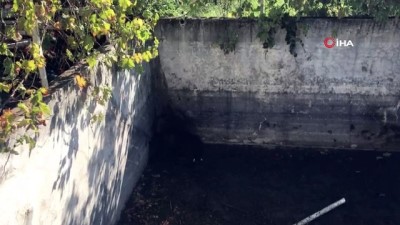 kurtarma operasyonu -  Bursa'da ayı ailesine kurtarma operasyonu  Videosu