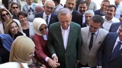 Cumhurbaşkanı Erdoğan, Stratonikeia Antik Kenti'ni ziyaret etti - MUĞLA