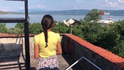 leylek koyu -  Beyzanur'la leyleklerin dostluğu görenleri şaşırtıyor  Videosu