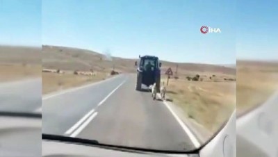 sahit -  İki köpeği traktör arkasına bağlayarak sürükledi Videosu