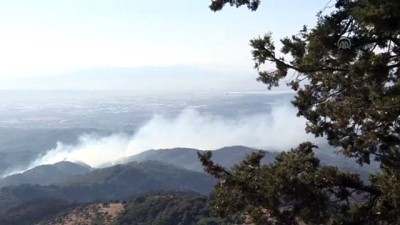İzmir'deki yangın 3. gününde 
