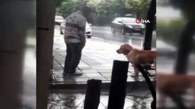 saganak yagmur -  Yağmur altında ağaca bağlanan köpeği böyle yumrukladı  Videosu