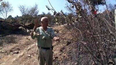 20 dakika -  Yangın 20 yıllık emeğini 20 dakikada kül etti Videosu