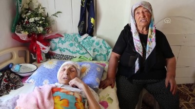 112 yaşındaki Ayşe ninenin sırrı doğal beslenme - MUĞLA