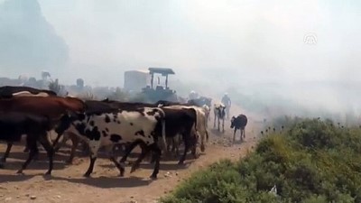 aniz yangini - Anız yangınının ortasında mahsur kaldılar - HATAY  Videosu