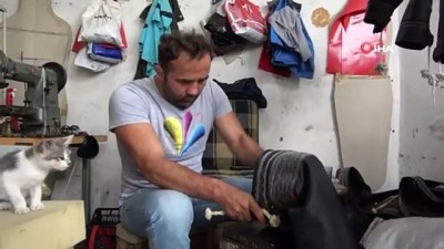 etiler -  Türkiye'nin kispetleri Samsun'dan  Videosu