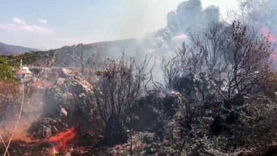 Fethiye'de orman yangını - MUĞLA 