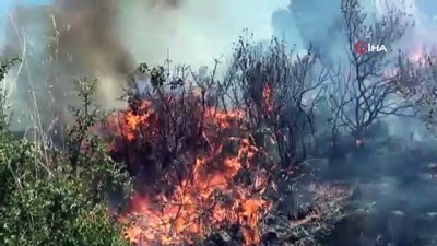 makilik alan -  Fethiye'deki yangın kısa sürede söndürüldü  Videosu