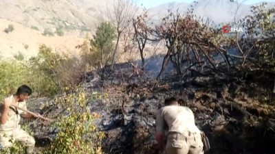 uzum bagi -  Fıstık bahçelerinde çıkan yangın, güvenlik güçlerinin müdahalesiyle söndürüldü  Videosu