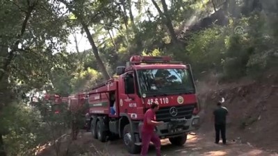olay yeri inceleme - Marmaris'te orman yangını söndürüldü - MUĞLA Videosu