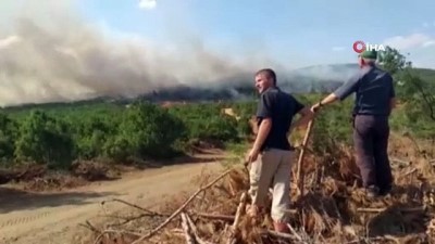  Edirne’de orman yangını