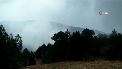  Kütahya'daki ikinci orman yangını sürüyor 