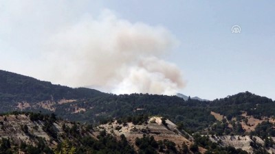 Orman yangınına helikopterli müdahale - KÜTAHYA 