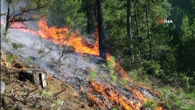  Uşak’ta çıkan orman yangını kontrol altına alındı