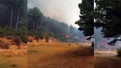 Uşak'ta orman yangını 