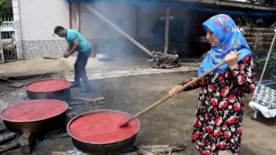  Geleneksel yöntemlerle salça yapımı 
