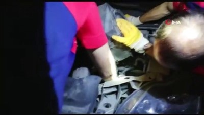 sparta -  Isparta'da yavru kedi kurtarma operasyonu  Videosu