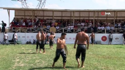 yagli gures -  Malazgirt etkinliklerinde güreş müsabakalarına ilgi Videosu