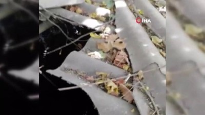 cep telefonu -  - İtfaiyeden Kaz kurtarma operasyonu
- Muğla’nın Marmaris ilçesinde 10 metrelik su kuyusuna düşen Kaz, itfaiye ekipleri tarafından kurtarıldı.  Videosu