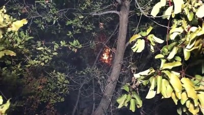 makilik alan - Antalya'da çalılık yangını Videosu