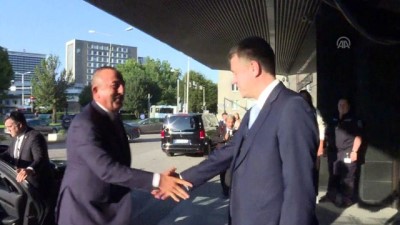 Bakan Çavuşoğlu, Estonyalı mevkidaşı ile görüştü - TALLİNN
