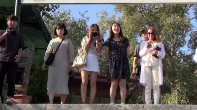 Güney Koreli turistler Bilecik'e hayran kaldı - BİLECİK
