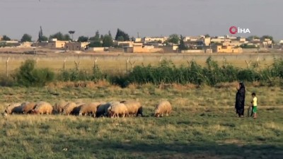  Suriye sınırında devriye uçuşları devam ediyor