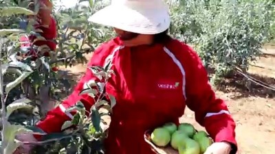 organik sebze - Yabancıların gözüyle Türkiye - Taylandlı gelin mutluluğu Edirne'de buldu - EDİRNE  Videosu