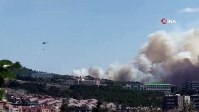  Çanakkale'de şehrin yanı başında korkutan orman yangını