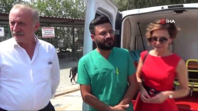 iftar yemegi -  Didim’de sokak hayvanlarının bir ambulansı oldu  Videosu