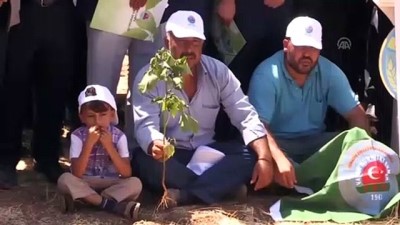 Pamukta 4,5 lira talebi - ŞANLIURFA