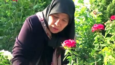 bireysel basvuru -  AYM 'nin kararına Kahramanmaraşlı şehit ailesinden tepki  Videosu