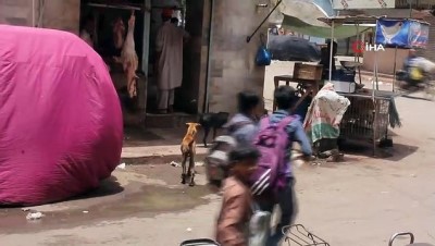 kopek saldirisi -  - Karaçi’de bir günde 59 köpek saldırısı  Videosu
