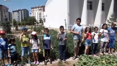 muhabir - Öğrenciler zamanlarını hobi bahçesinde geçiriyor - SİVAS  Videosu