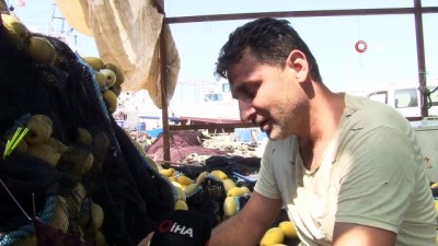 alabalik -  Balıkçıların 140 günlük hasreti sona eriyor  Videosu