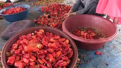 Salça sezonunda 'yanık' başvuruları artıyor - İZMİR 