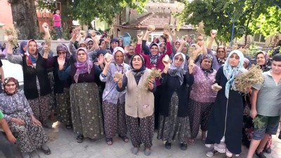 Taş ocağı protestosu - DENİZLİ
