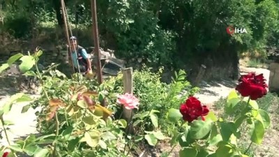  5 mahallenin çöpleri belediyenin Beyaz isimli kadrolu katırı ile toplanıyor 